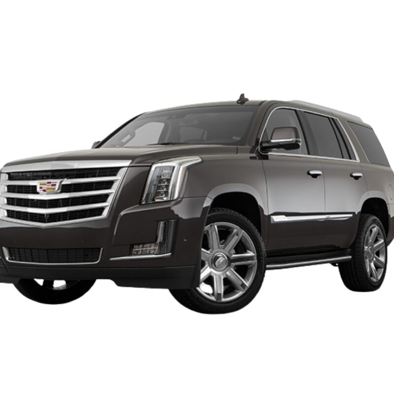 services tranfers punta cana private